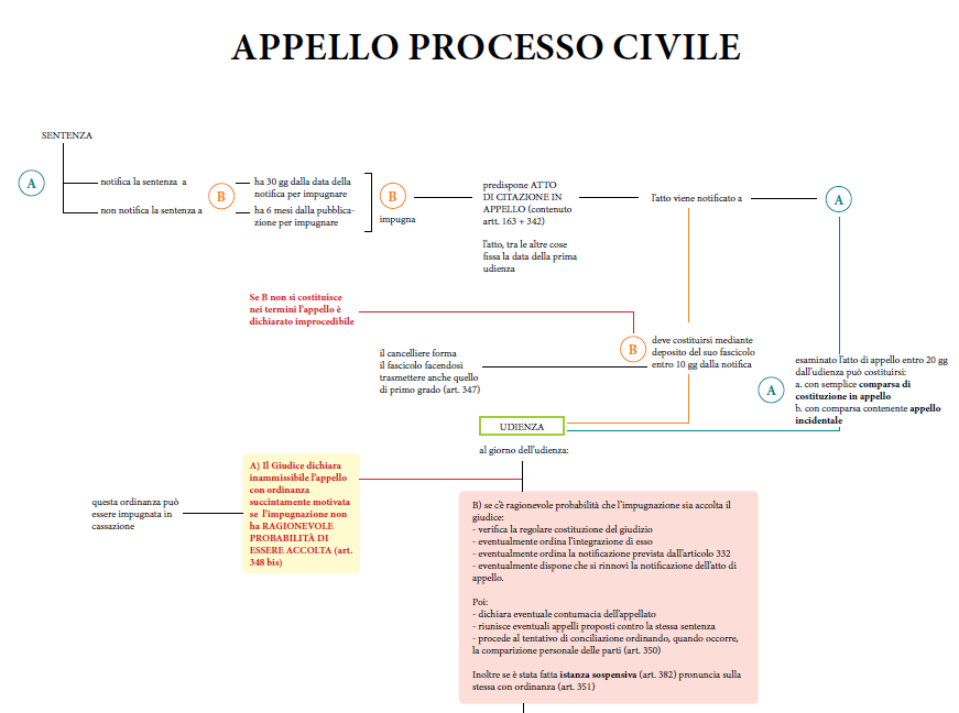 Appello maxi schema Studiare Diritto Facile
